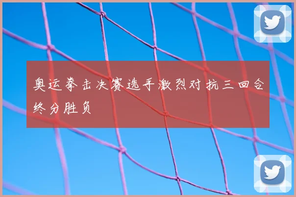 奥运拳击决赛选手激烈对抗三回合终分胜负