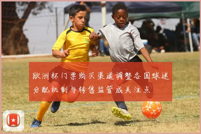 欧洲杯门票购买渠道调整各国球迷分配机制与转售监管成关注点