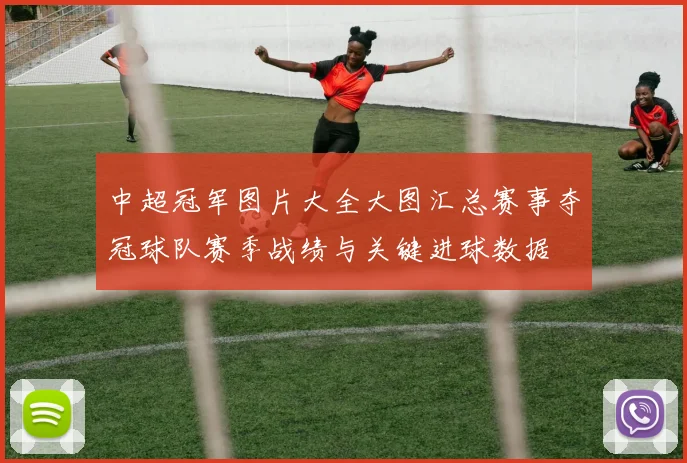 中超冠军图片大全大图汇总赛事夺冠球队赛季战绩与关键进球数据
