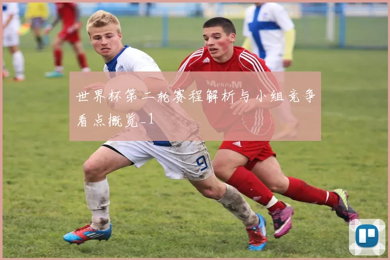世界杯第二轮赛程解析与小组竞争看点概览_1
