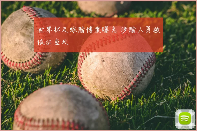 世界杯足球赌博案曝光 涉赌人员被依法查处