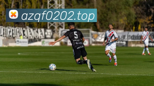 开云app在线入口平台生态图